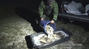 Зарыбление Водоема Карасём