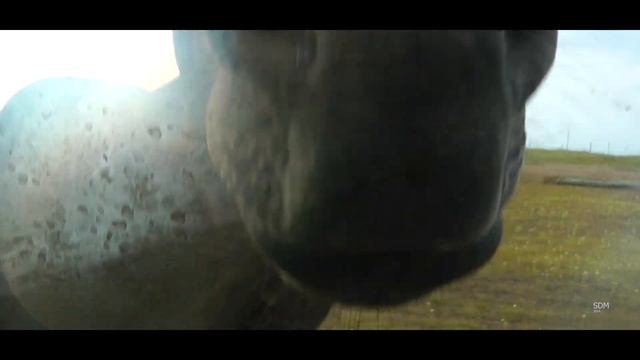 Аметистовый берег, Кузомень, Онежское озеро 14.2 смотреть онлайн