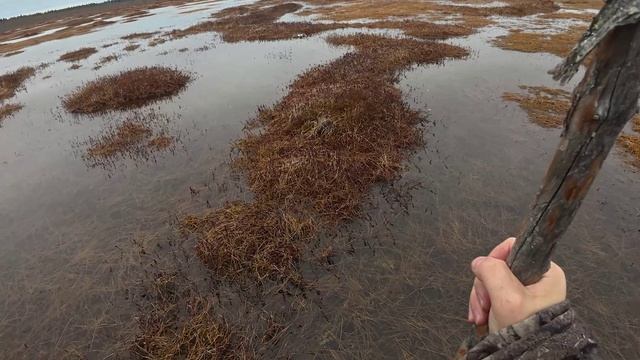 налет гусей смотреть онлайн