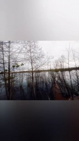 Ожидание и Реальность 1 часть