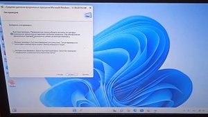 Windows 11 Cканирование на вирусы без антивируса