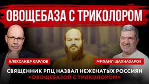 Священник РПЦ назвал неженатых россиян «овощебазой с триколором»