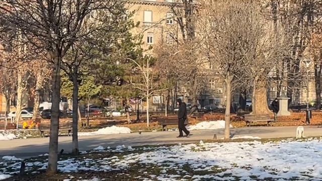 Как я живу в иммиграции? | Топ места Белграда .Быт с люб? смотреть онлайн