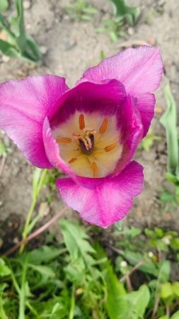 Красота природы