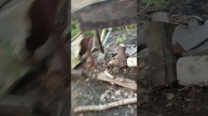 мы розжигаем костёр часть 2