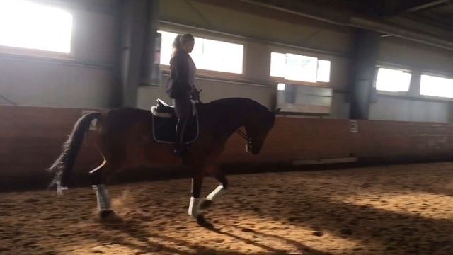 СТРОЕВАЯ РЫСЬ. Облегченная рысь и правильное положение всадника. смотреть онлайн
