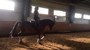 СТРОЕВАЯ РЫСЬ. Облегченная рысь и правильное положение всадника.