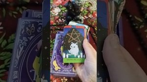 КОТО ТАРО ОБЗОР КОЛОДЫ