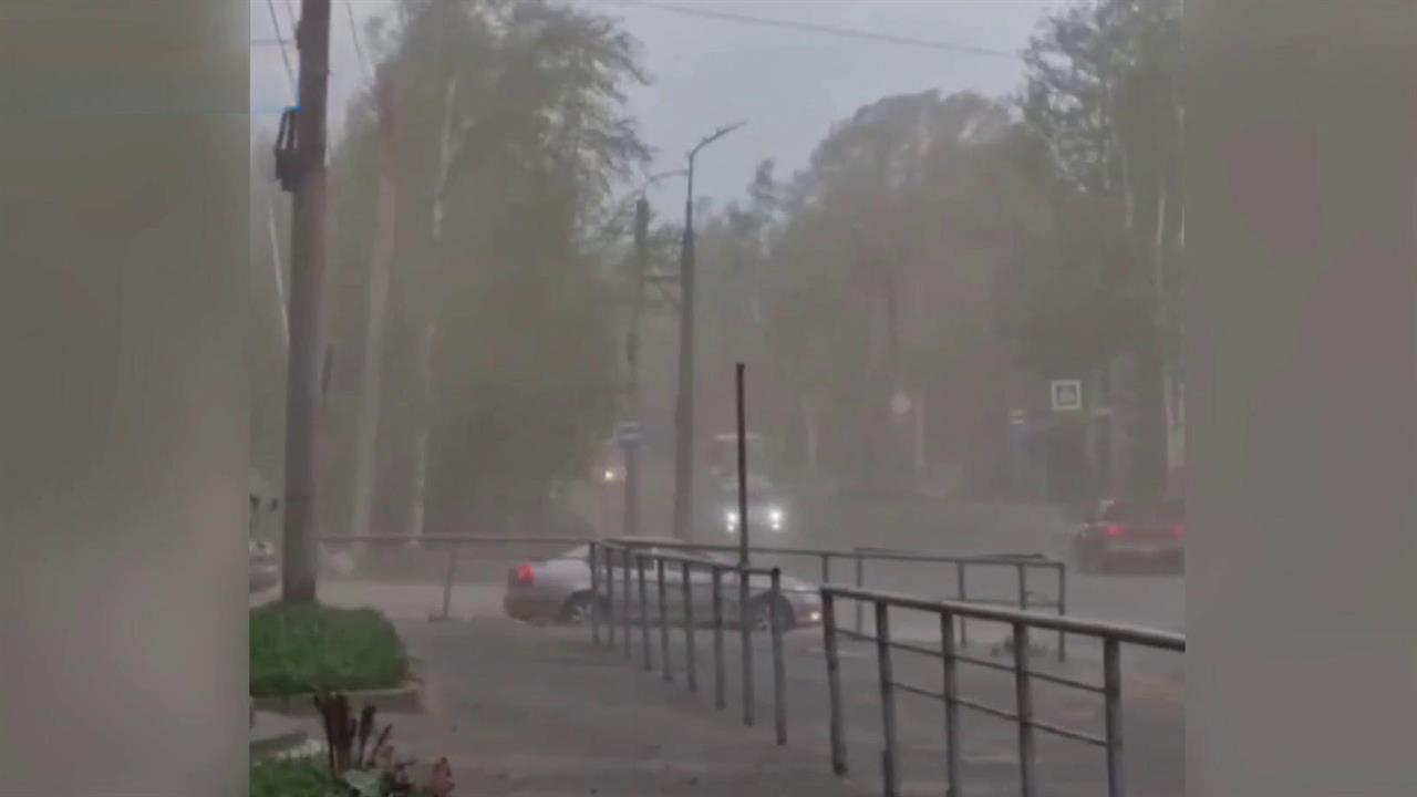 Ущерб от лесных пожаров в Забайкалье составил 459 млн рублей