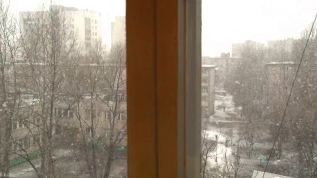 Как Гульд Играл Баха а Саша варил кашу и снимал из окн?