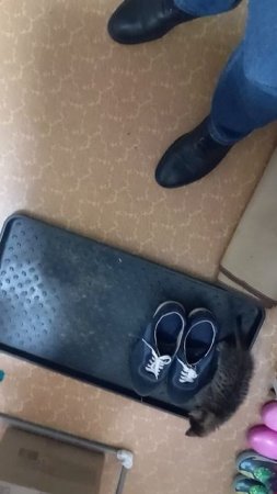 1000101203.mp4