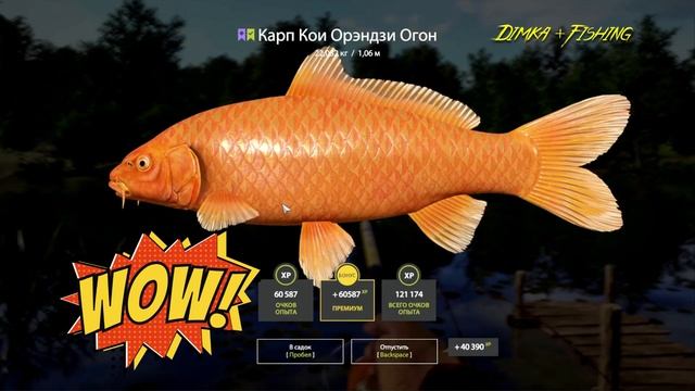 Русская рыбалка 4. 🎣 оз. Медное 🐋💦 ГДЕ ЛОВИТ LATORSO 👀 смотреть онлайн