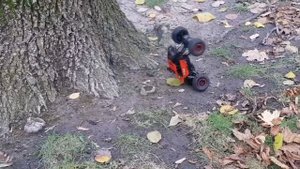 Автомобиль Off-Road Crawler на радиоуправлении 1:18 Top Racing Sulong To