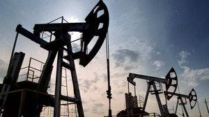 Посол Индии в России: Нью-Дели готов увеличить закупку российской нефти и СПГ