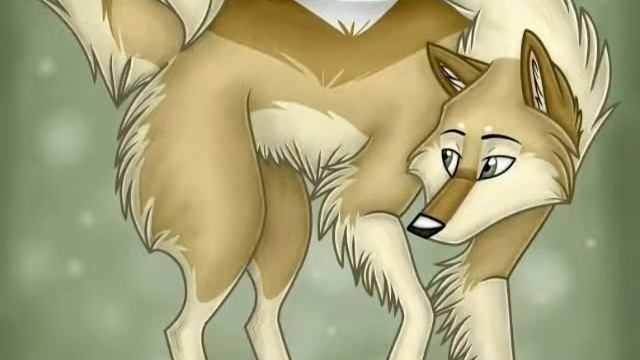 Коты-воители в виде волков. Часть 3. смотреть онлайн