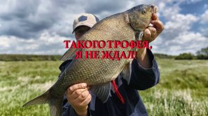 Такого трофея я не ждал. Что ни день - то рыба. Рыба начала просыпаться от коматоза.