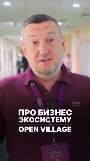 Про бизнес экосистему Open Village