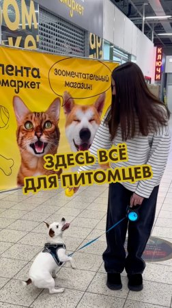 А вы уже выгуляли питомца в «Ленту Зоомаркет»? 🦮