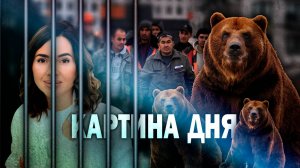 Арест врача, депортация мигрантов, скандал с пенсиями, медведи в Карповке, мошенничество с домом