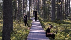 Досуг в Парке отдыха "Олений Бор"