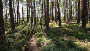 озеро белое 20.07.24