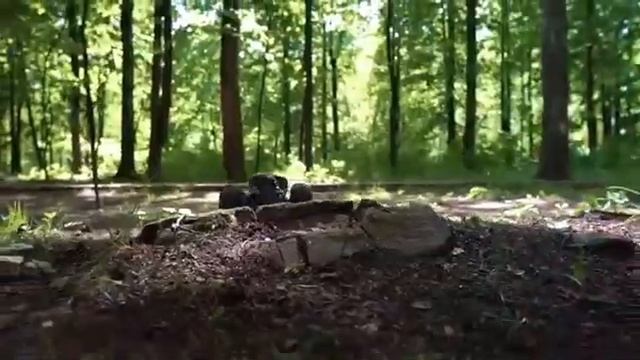 Тренд 2019 года. Машинка-трансформер-перевертыш PREDATOR смотреть онлайн