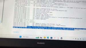 Home assistant - zigbee2mqtt error (Ошибка запуска), ZBDongle-E