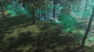 Телевизор Skyworth SXF9850