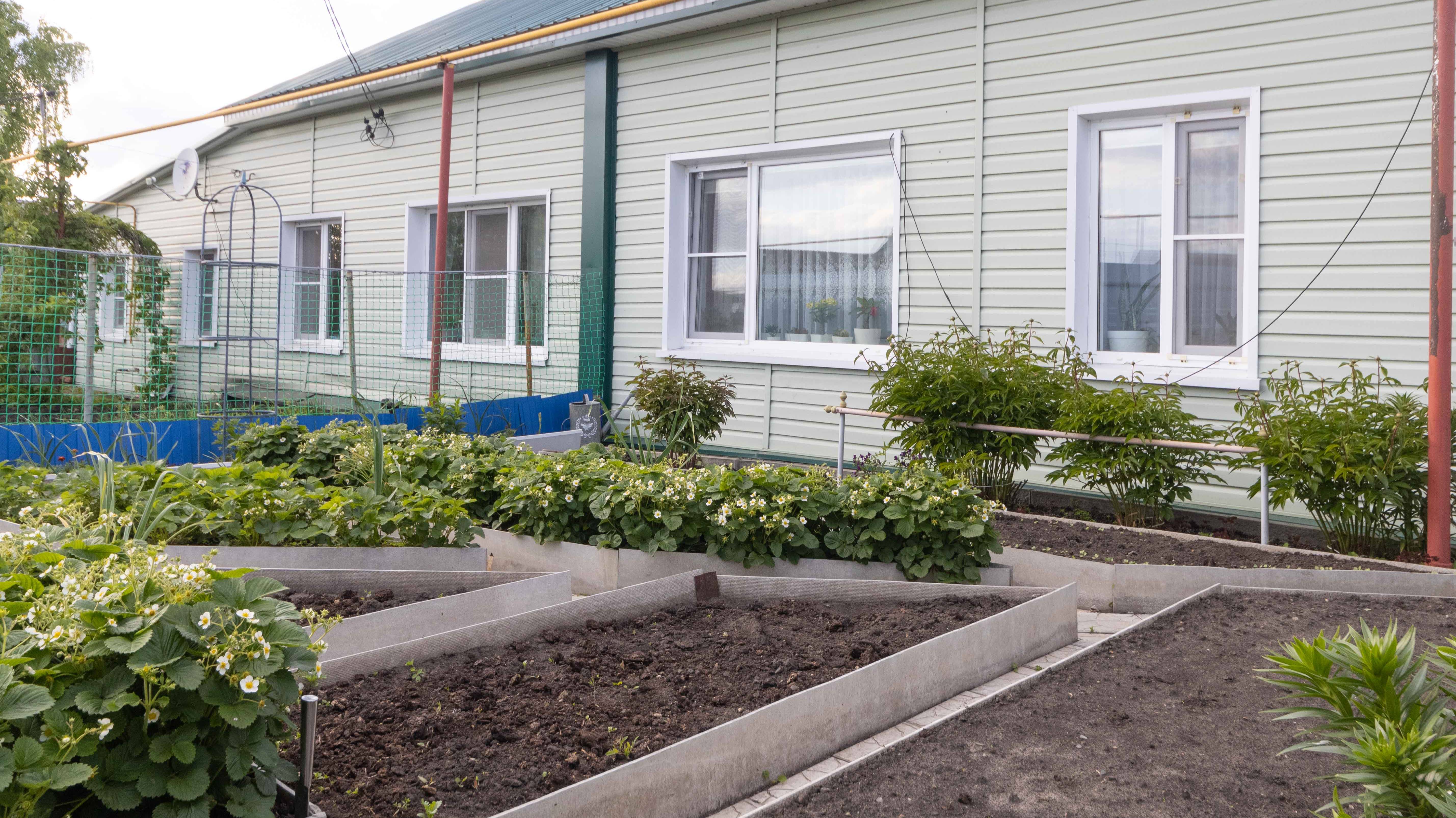 Project 255 смотреть онлайн