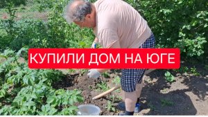 503 🏠 Жизнь в станице.Её больше Нет.Копаем картошку.Кругом тля.