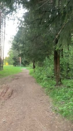 Walking through the beautiful village: чистый лесной воздух