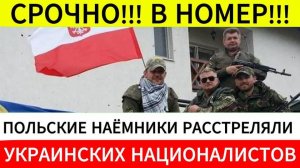 Польские наемники расстреляли украинских националистов
