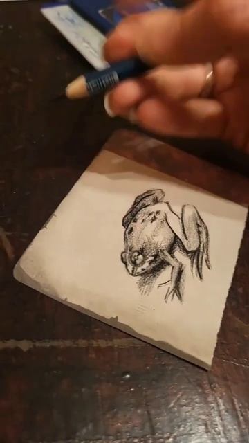#лягушка #sketch #карандашами смотреть онлайн