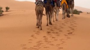 Путешествие в пустыню Сахара (Sahara)