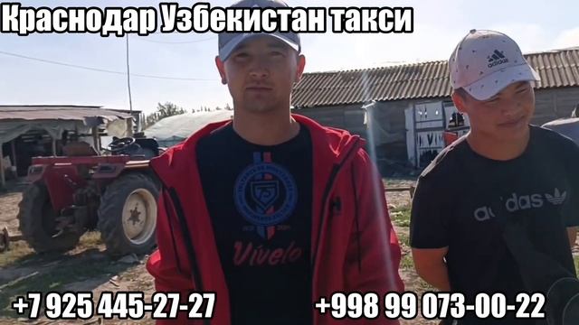 Краснодар Узбекистан такси краснодарский край Узбе