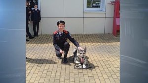 Передача "Участок" выпуск  26.05.2025 года