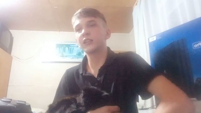 обзор на пс 4 про смотреть онлайн