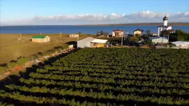 Винодельня Villa Arcadia