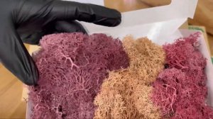 Чипсы из Ягеля💖