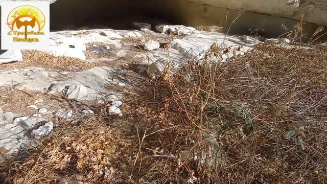 Пещера "Баба Кота" смотреть онлайн