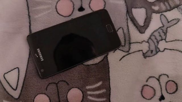 Обзор подарков за январь 2025 года смотреть онлайн