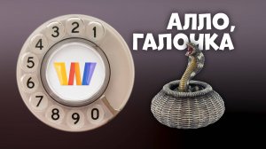 Алло, Галочка? #28 (87) третий сезон
