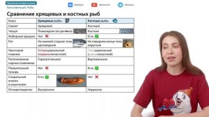 Зоология позвоночных | Вспомнить всё | ЕГЭ-2025 с Биологи