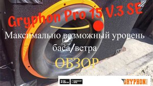 DL Audio Gryphon Pro 15 V.3 SE распаковка и прослушка