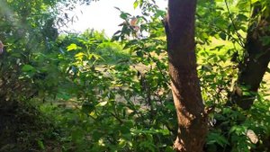 ОЧЕНЬ ЖАРКО И НЕТУ СВЕТА