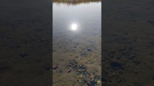 озеро Лосвидо, Витебск, сентябрь 2024г.