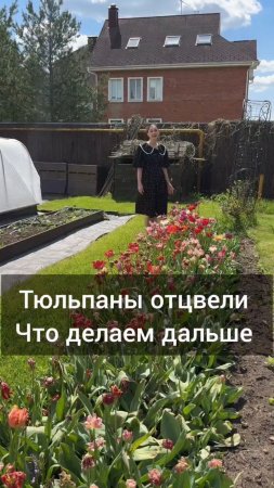 🌷Тюльпаны отцвели,  пора их срезать.