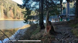 Закарпатье. Поход на озеро Синевир. Одни в лесу. Синеви