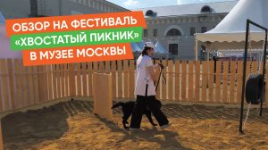 Как прошел фестиваль «Хвостатый пикник»