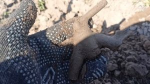 коп находок  в летный жаркий день